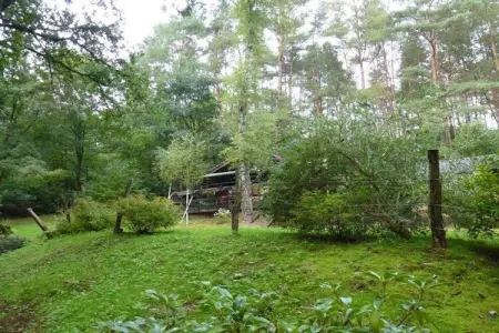 Remschweiler, Chalet près de Bitche avec Sauna - Photo 21