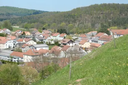 Remschweiler, Chalet près de Bitche avec Sauna - Photo 25