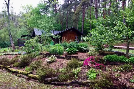 Remschweiler, Chalet près de Bitche avec Sauna - Photo 32