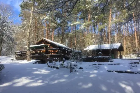 Remschweiler, Chalet près de Bitche avec Sauna - Photo 34