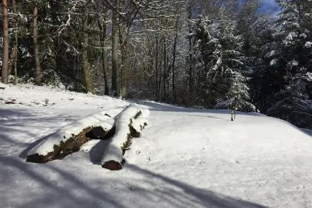 Remschweiler, Chalet près de Bitche avec Sauna - Photo 35