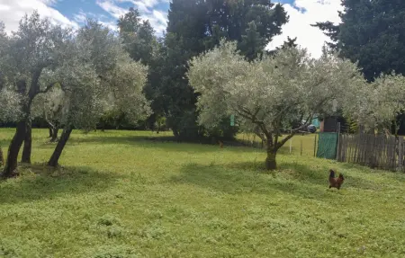 Maison 4 personnes à Fontvieille - Photo 11