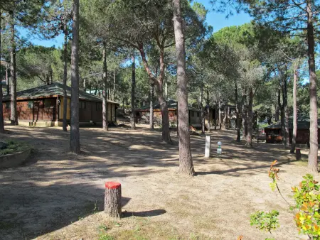 Tramariccia, Maison 6 personnes à Calvi - Photo 9
