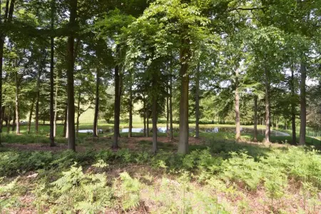 Dompels, Luxueuse maison dans les Ardennes - Photo 8