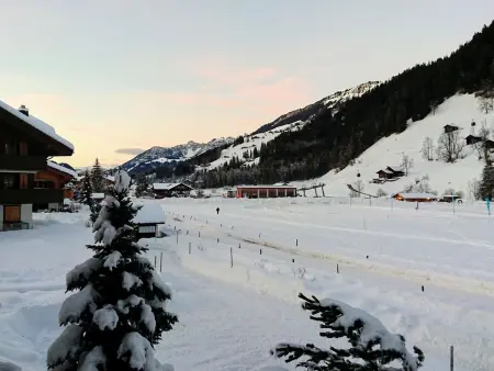 Chalet Lerchweid Lenk, Appartement 4 personnes à Lenk - Photo 14