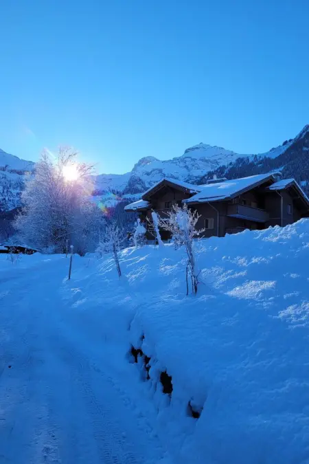 Chalet Lerchweid Lenk, Appartement 4 personnes à Lenk - Photo 16