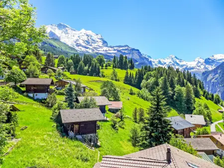 Bristol Apt.K, Appartement 4 personnes à Wengen - Photo 24