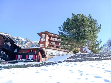 Bristol Apt.K, Appartement 4 personnes à Wengen - Photo 27