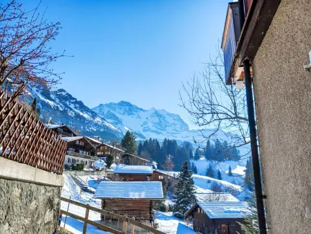 Bristol Apt.K, Appartement 4 personnes à Wengen - Photo 29