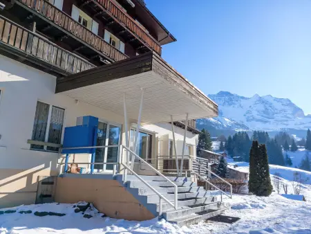 Bristol Apt.K, Appartement 4 personnes à Wengen - Photo 31