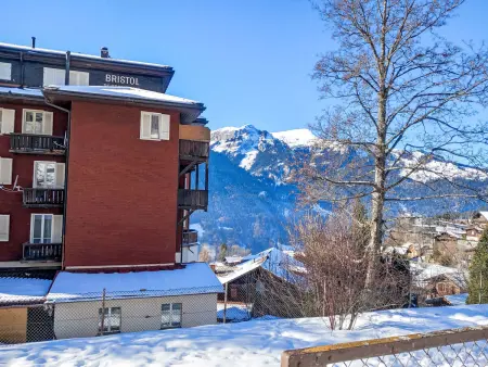 Bristol Apt.K, Appartement 4 personnes à Wengen - Photo 32