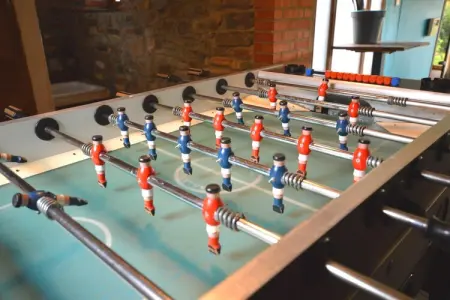 Remonval, Ferme rustique avec piscine - Photo 3