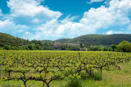 Le Travers, Maison de vacances à Montclus près de la rivière - Photo 30