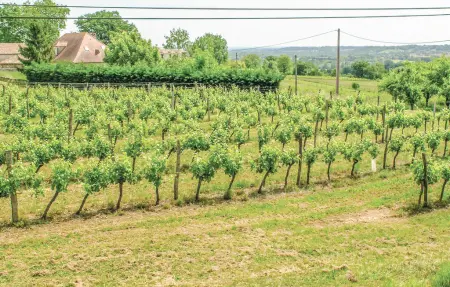 Maison 6 personnes à St.Aubin de Cadelech - Photo 8
