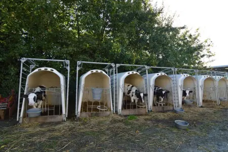 Ferme du hoguet, Gîte Saint-Clément près de la mer - Photo 19