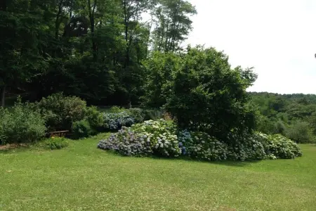 Nelverde 6, Maison à Pescia avec piscine privée - Photo 25