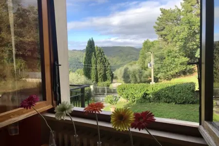 Nelverde 6, Maison à Pescia avec piscine privée - Photo 29
