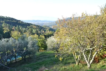 Nelverde 6, Maison à Pescia avec piscine privée - Photo 30