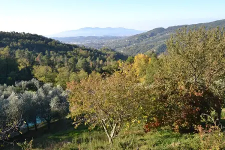 Nelverde 6, Maison à Pescia avec piscine privée - Photo 36