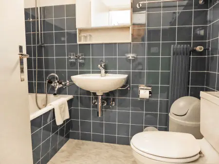 Chesa Arlas D2, Appartement 4 personnes à St. Moritz - Photo 5
