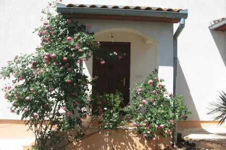 Haus Enisa, Maison spacieuse en Dalmatie - Photo 7