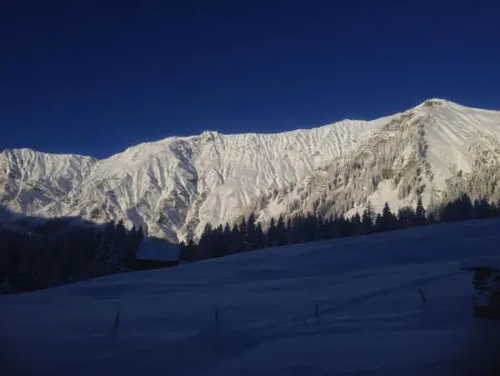 Abelied, Appartement 4 personnes à Adelboden - Photo 4
