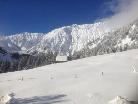Abelied, Appartement 4 personnes à Adelboden - Photo 5