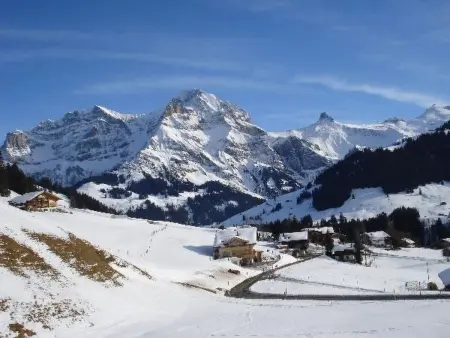 Abelied, Appartement 4 personnes à Adelboden - Photo 7
