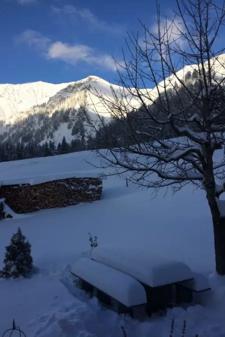 Abelied, Appartement 4 personnes à Adelboden - Photo 8