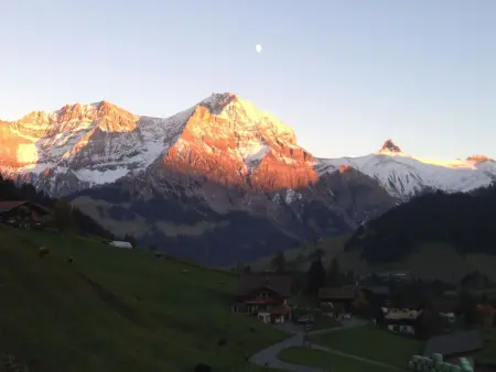Abelied, Appartement 4 personnes à Adelboden - Photo 11