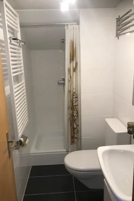 Abelied, Appartement 4 personnes à Adelboden - Photo 28