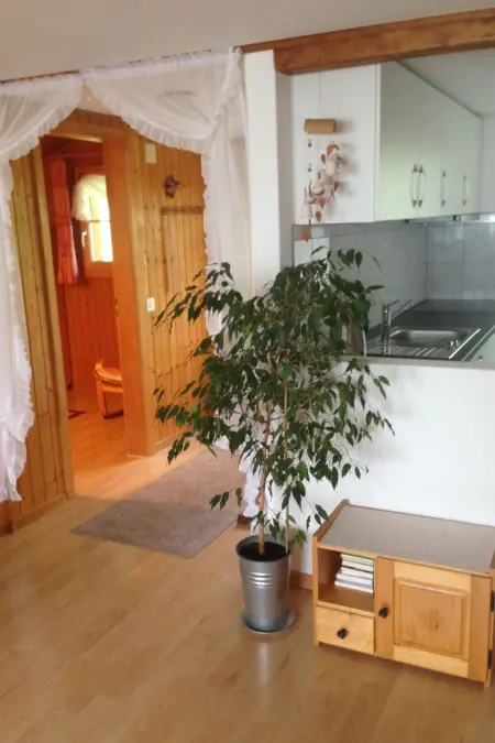 Abelied, Appartement 4 personnes à Adelboden - Photo 37