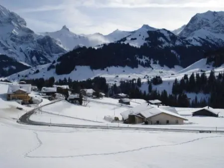 Abelied, Appartement 4 personnes à Adelboden - Photo 50