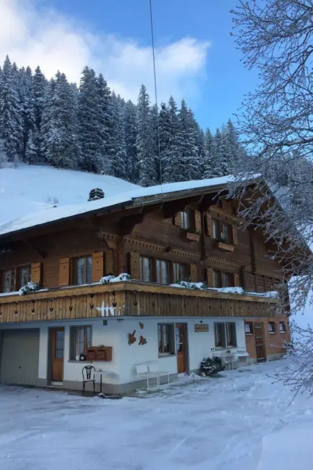 Abelied, Appartement 4 personnes à Adelboden - Photo 52