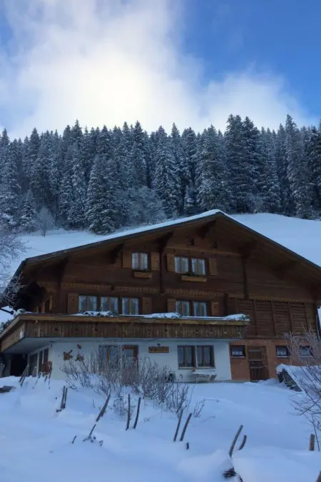 Abelied, Appartement 4 personnes à Adelboden - Photo 53