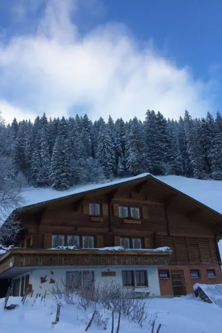 Abelied, Appartement 4 personnes à Adelboden - Photo 54