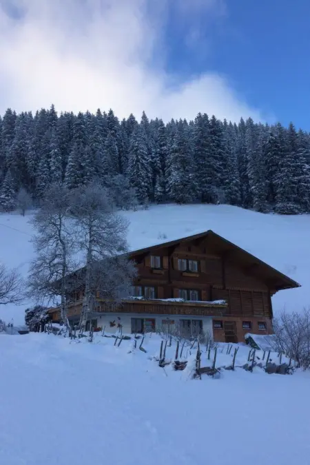 Abelied, Appartement 4 personnes à Adelboden - Photo 55