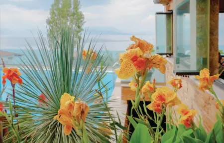 Maison 8 personnes à Petalou, Korinthias - Photo 21