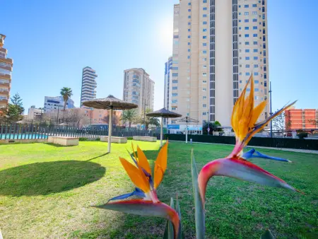 Mirador de Calpe, Appartement 4 personnes à Calpe Calp - Photo 24