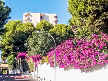 Duquesa de España, Appartement 4 personnes à Torremolinos - Photo 22