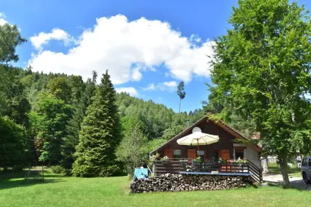 Chalet - TURQUESTEIN, Chalet au calme avec jardin - Photo 14