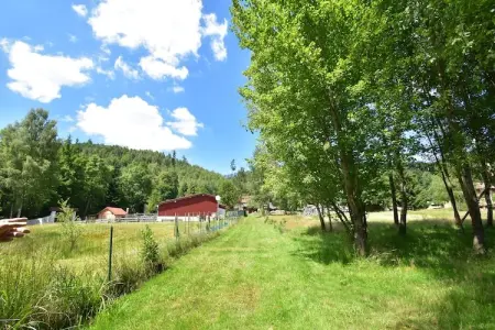 Chalet - TURQUESTEIN, Chalet au calme avec jardin - Photo 21