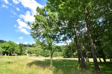 Chalet - TURQUESTEIN, Chalet au calme avec jardin - Photo 24