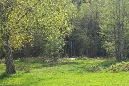 Chalet - TURQUESTEIN, Chalet au calme avec jardin - Photo 30