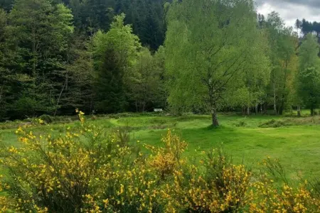 Chalet - TURQUESTEIN, Chalet au calme avec jardin - Photo 32