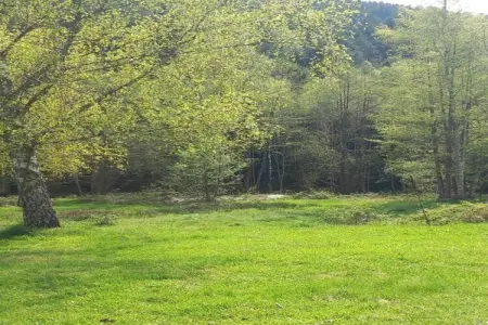 Chalet - TURQUESTEIN, Chalet au calme avec jardin - Photo 36