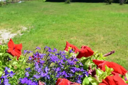 Chalet - TURQUESTEIN, Chalet au calme avec jardin - Photo 38