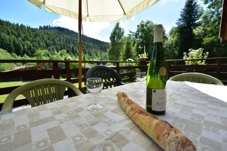 Chalet - TURQUESTEIN, Chalet au calme avec jardin - Photo 39