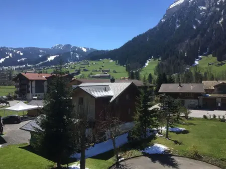 Chalet Flöschhorn, Appartement 6 personnes à Lenk - Photo 4