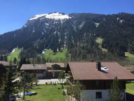 Chalet Flöschhorn, Appartement 6 personnes à Lenk - Photo 7